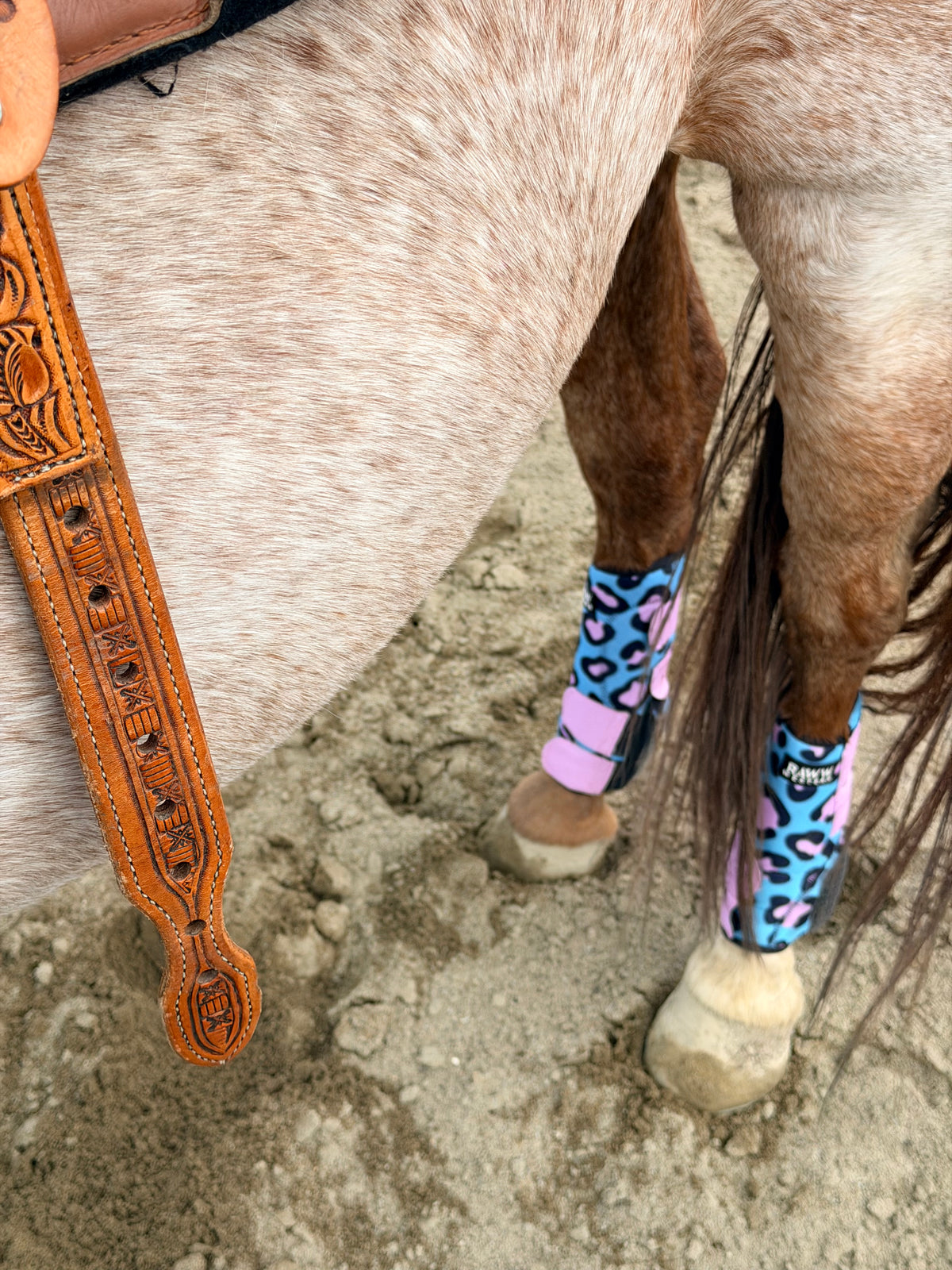 Leopard-print splint boots on horse legs with pink cuffs and blue patterned fabric