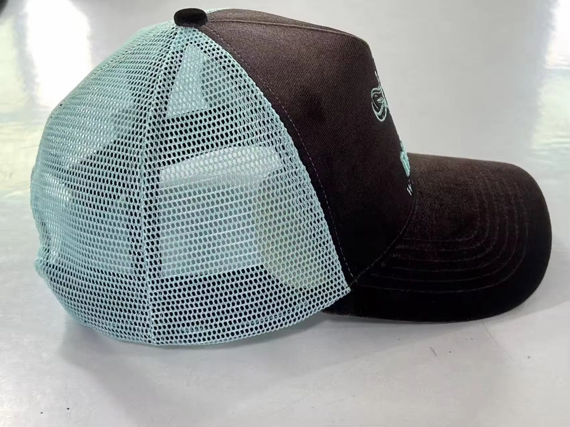 Trucker cap with dark brown front panel and teal mesh side panels, embroidered emblem