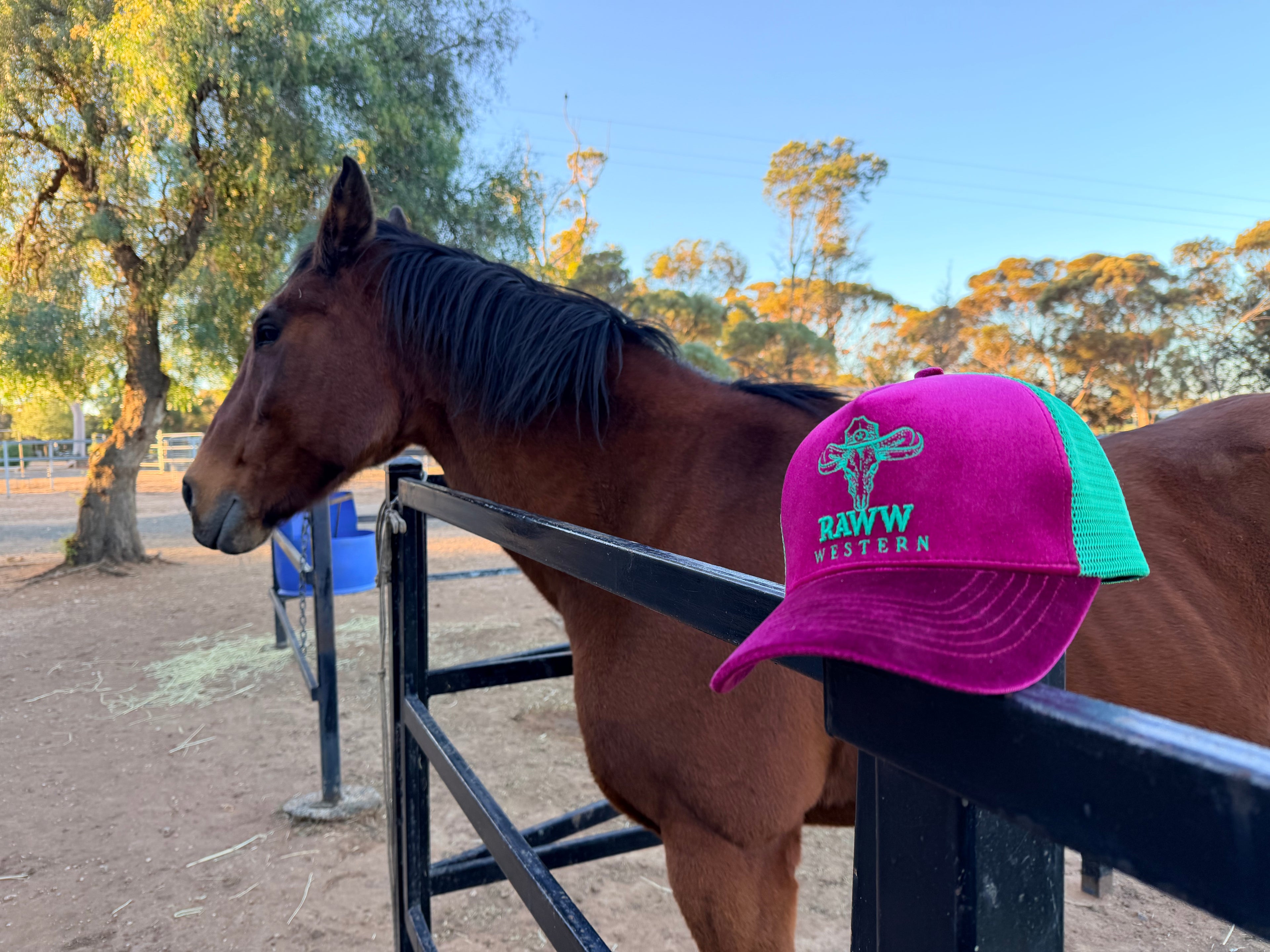Ruby velvet trucker cap with green mesh back and RAW WES tern logo on front