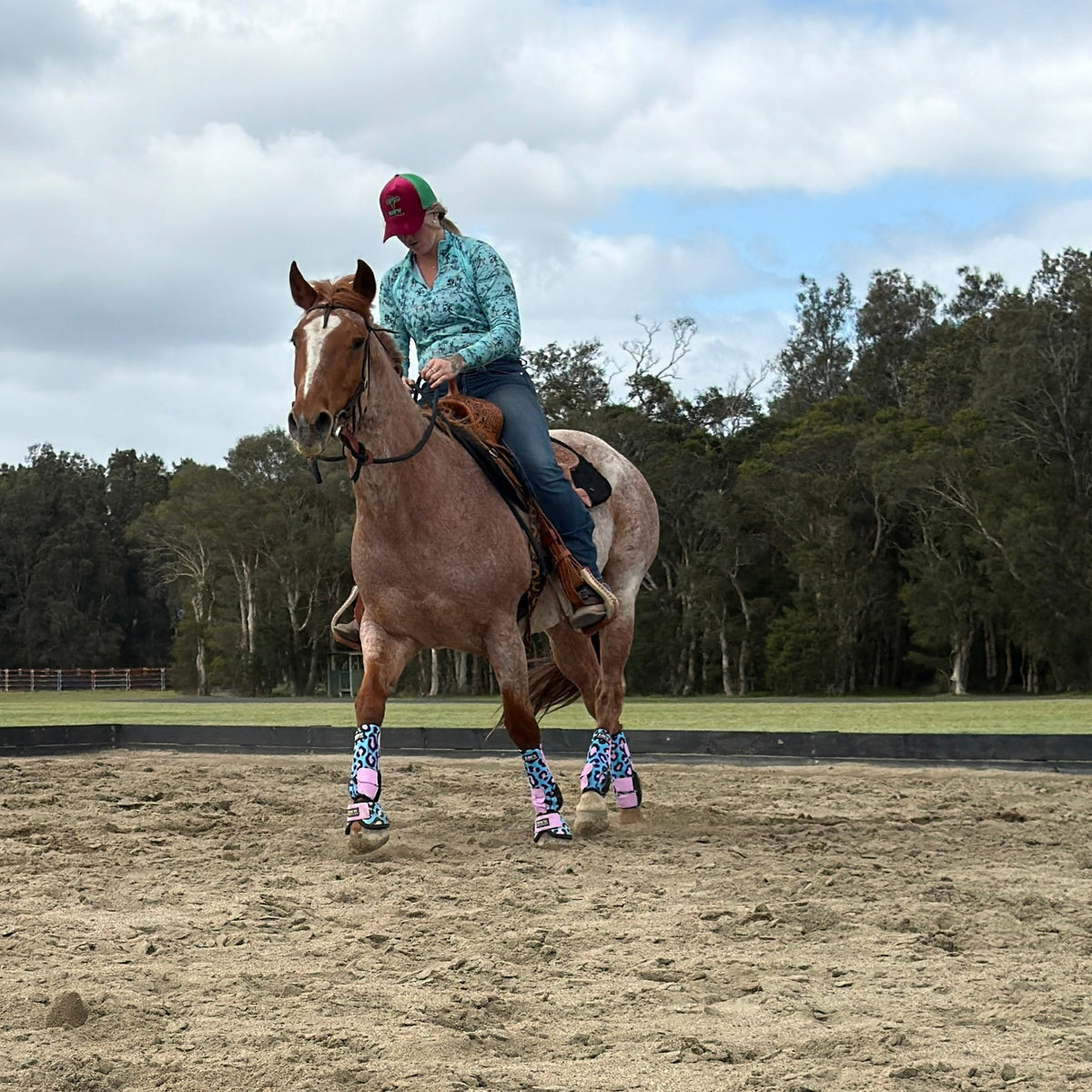 Leopard-print splint boots on a horse walking, pink and blue patterned shins