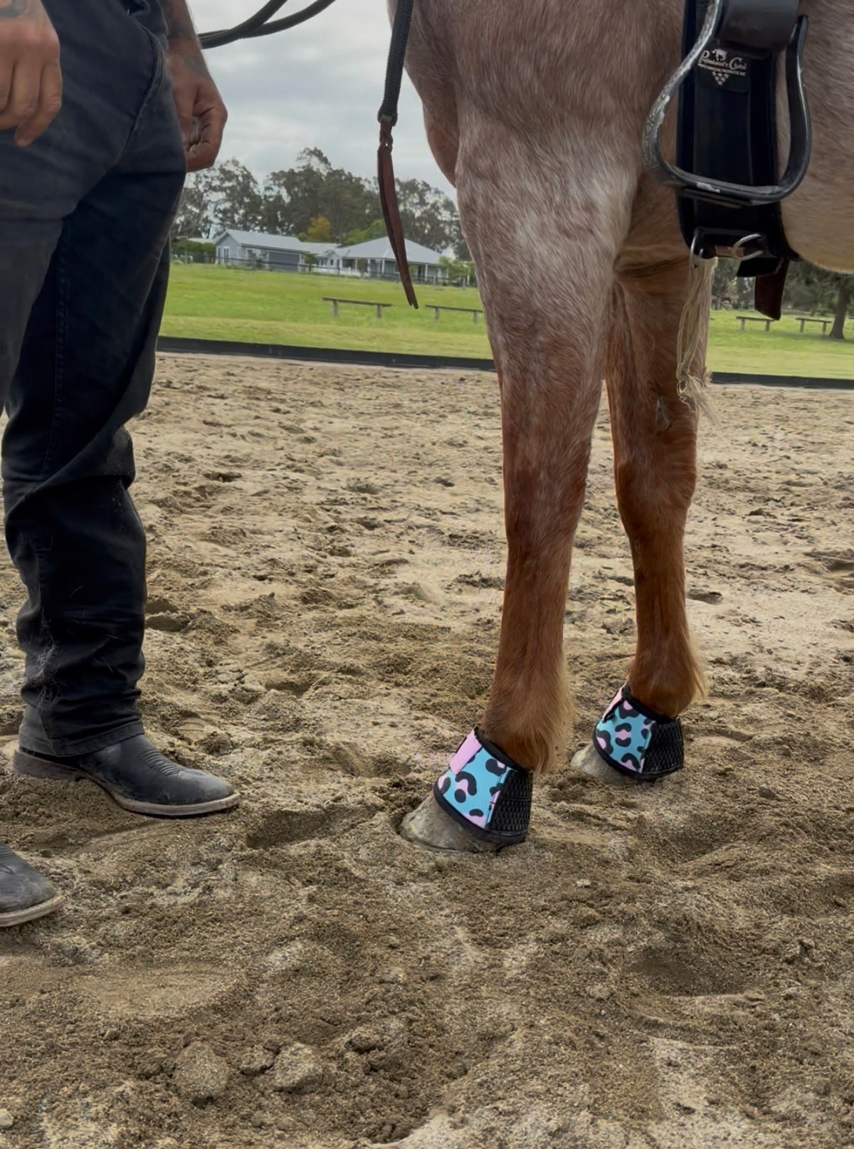 Leopard-print bell boots on horse legs with secure top straps