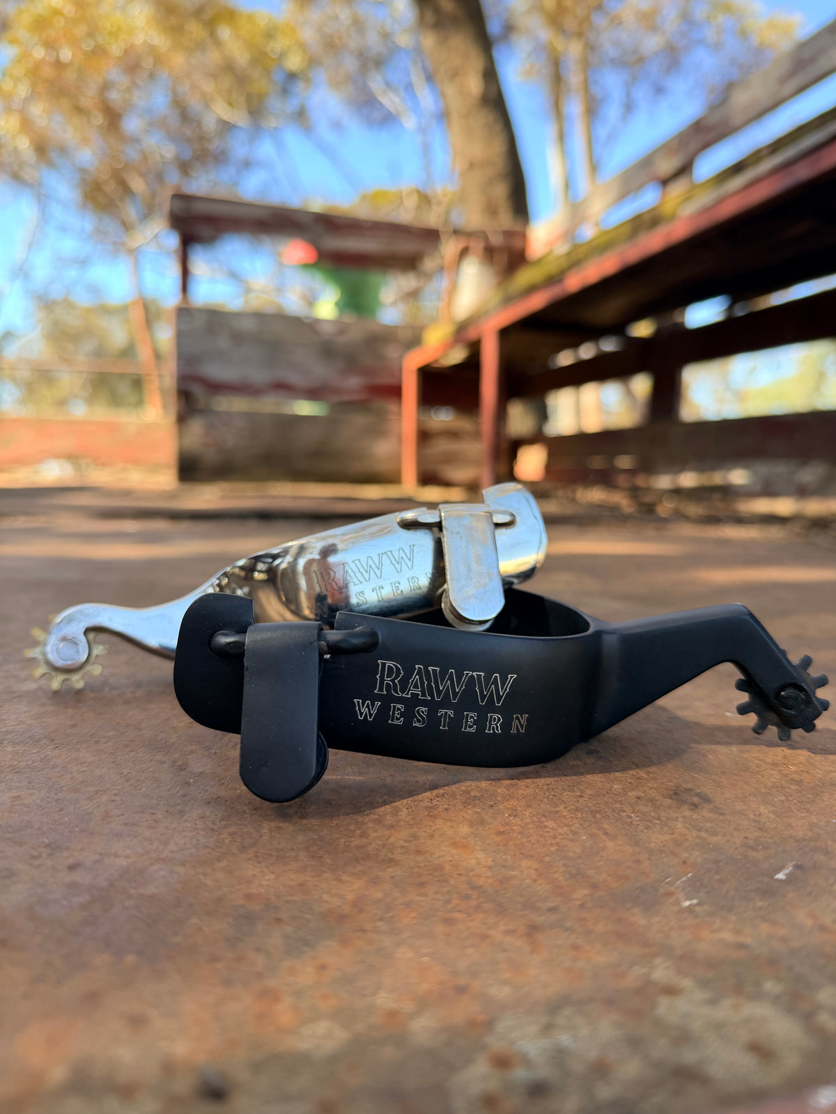 Black Western spurs with metal rowels and adjustable leather straps