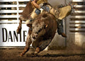 Western gift card featuring a rider on a bucking bull