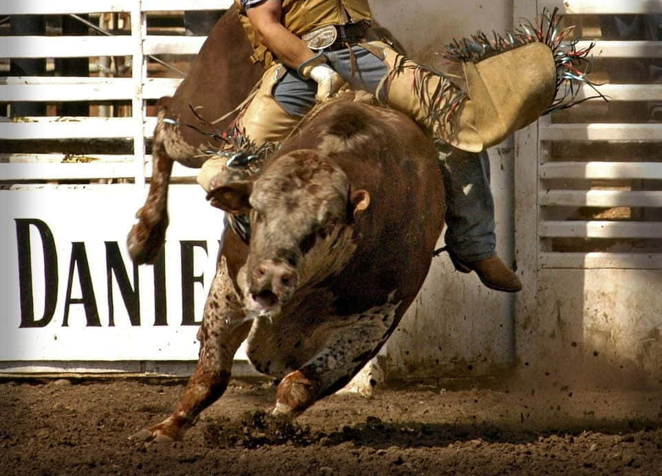 Western gift card featuring a rider on a bucking bull